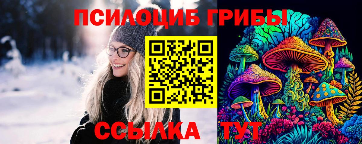Галлюциногенные грибы Psilocybe  магазин    Пенза  Вход с VPN 