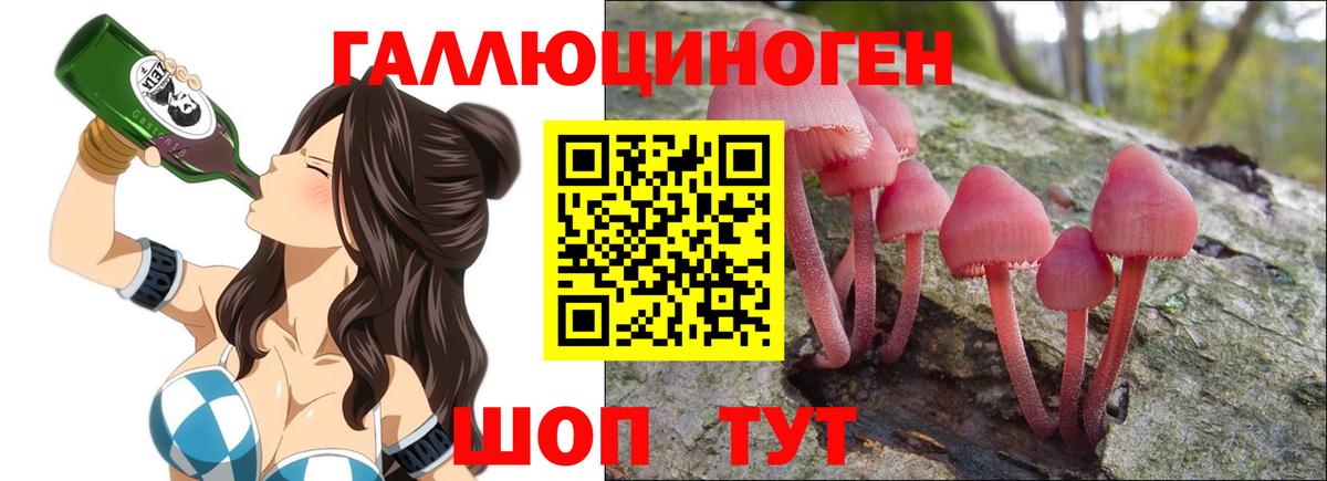 Псилоцибиновые грибы прущие грибы Пенза